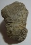 Unknown  Spain. Uploaded by Granotius